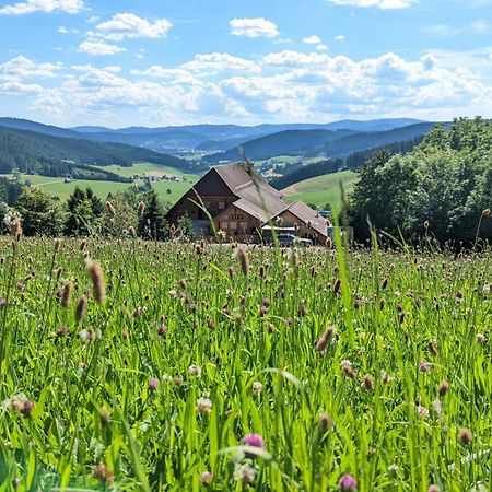 Appartamento Haberjockelshof Erlebnishof Titisee-Neustadt Esterno foto