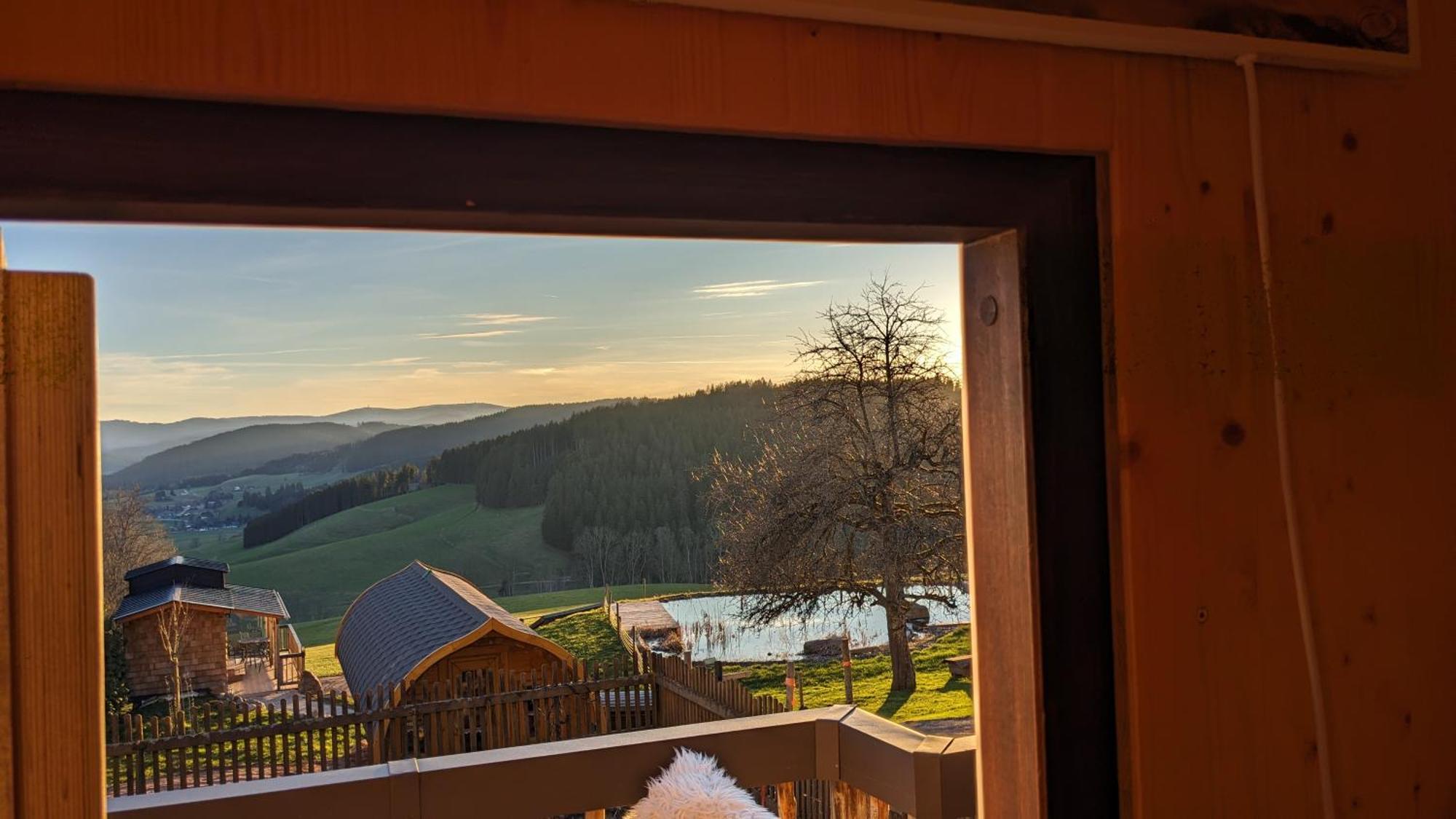 Appartamento Haberjockelshof Erlebnishof Titisee-Neustadt Esterno foto